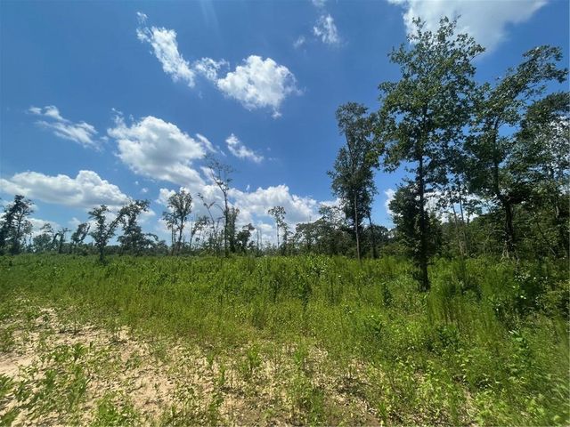 0 Creel Road, Theodore, AL 36582