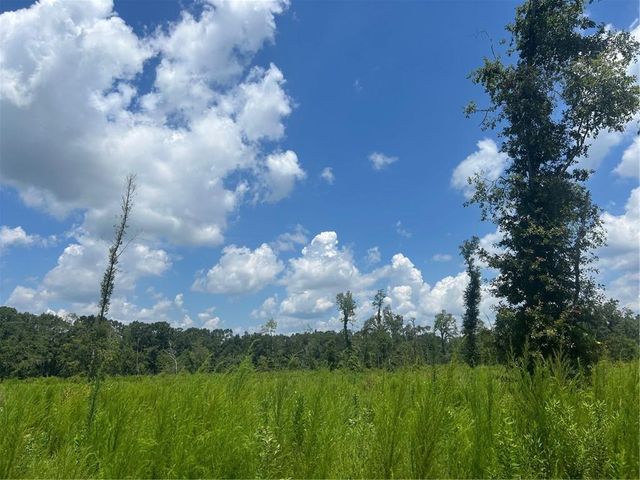 0 Creel Road, Theodore, AL 36582