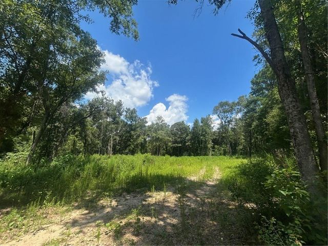 0 Creel Road, Theodore, AL 36582