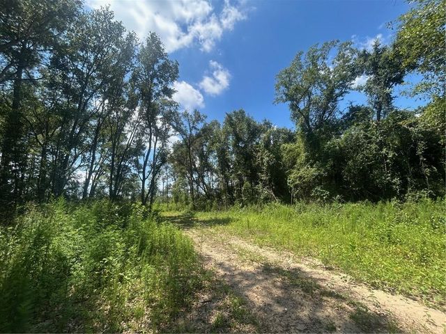 0 Creel Road, Theodore, AL 36582