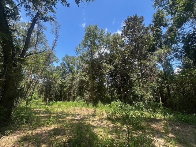 0 Creel Road, Theodore, AL 36582