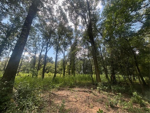 0 Creel Road, Theodore, AL 36582