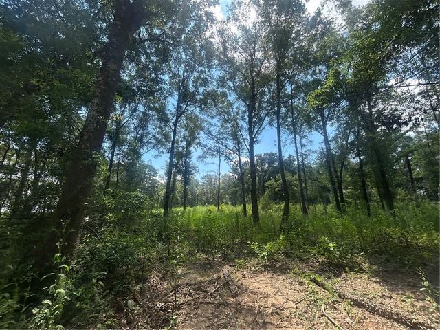 0 Creel Road, Theodore, AL 36582