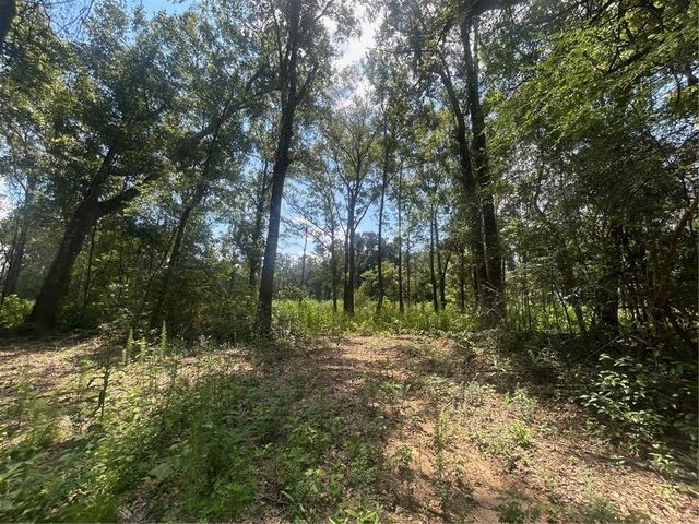 0 Creel Road, Theodore, AL 36582