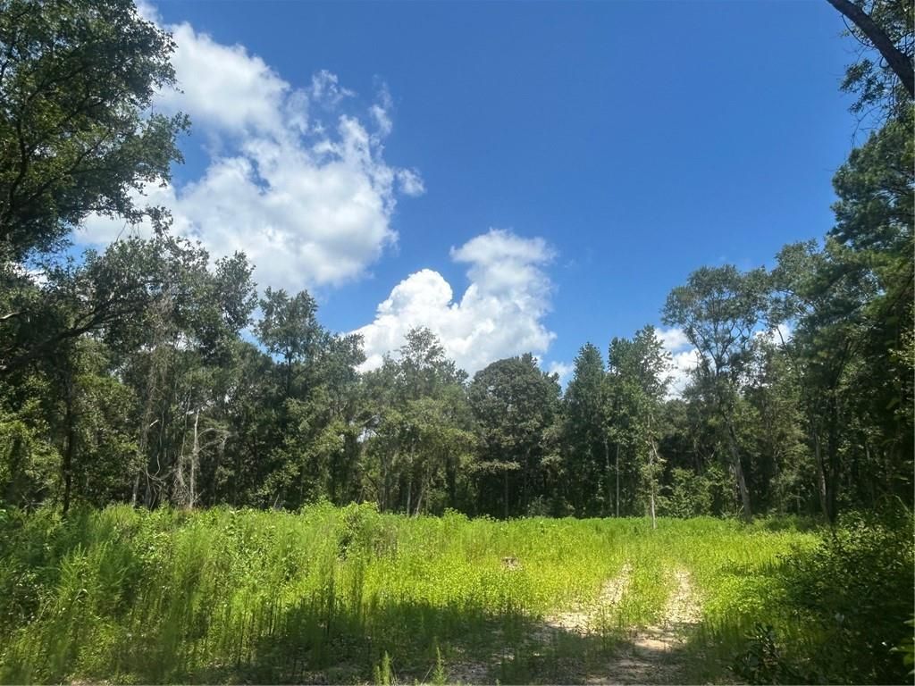 0 Creel Road, Theodore, AL 36582