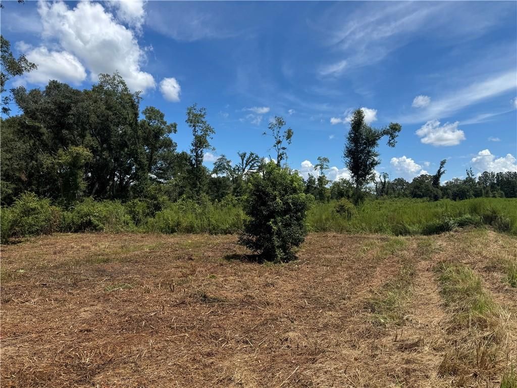 0 Lundy Road, Theodore, AL 36582 — photo 2