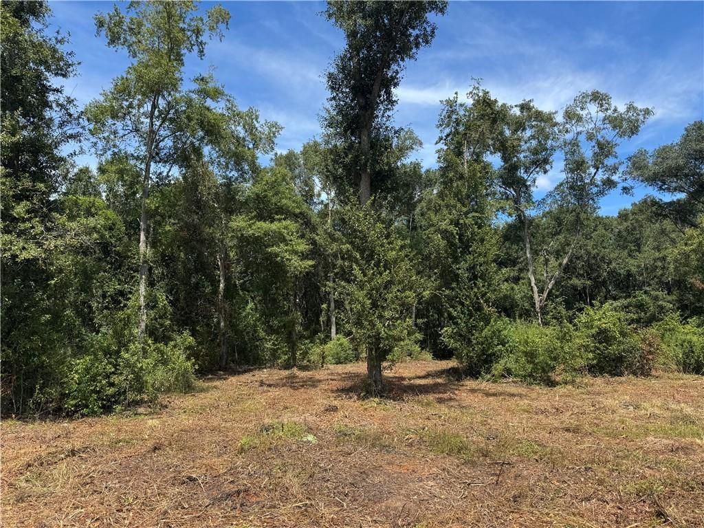 0 Lundy Road, Theodore, AL 36582 — photo 3