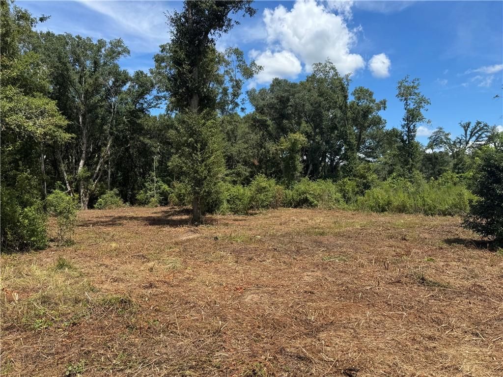 0 Lundy Road, Theodore, AL 36582 — photo 4