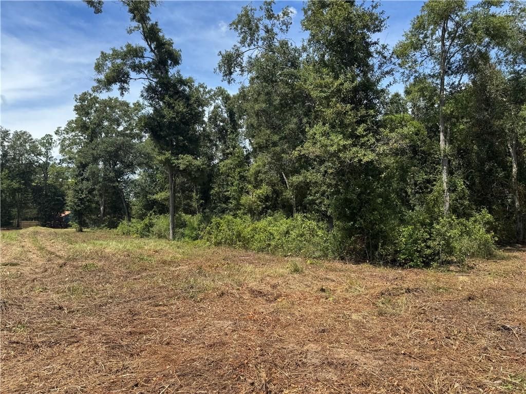 0 Lundy Road, Theodore, AL 36582 — photo 5