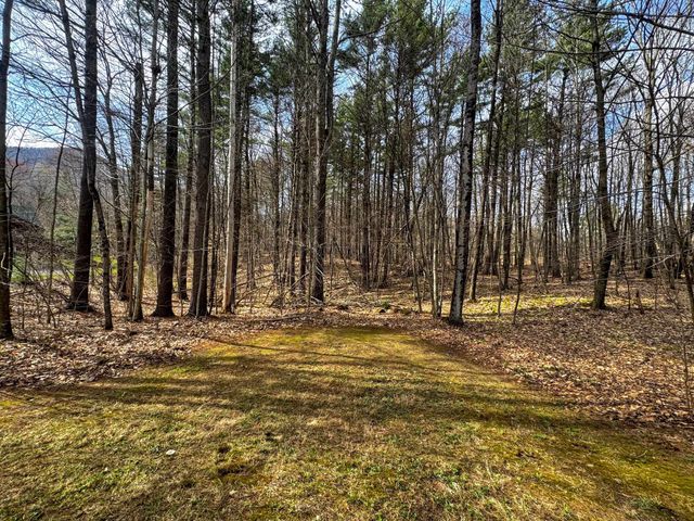 358 Birch Grove, Arlington, VT 05250