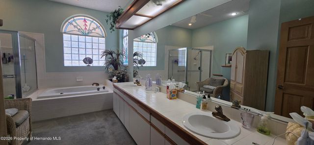 6545 Mulligan Court, Spring Hill, FL 34606