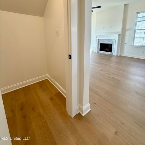 502 Bolivar Drive, Nesbit, MS 38651