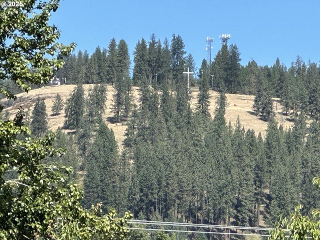 795 E St, Riddle, OR 97469