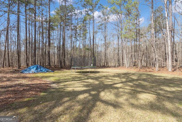 65 Tipperary Trail, Sharpsburg, GA 30277