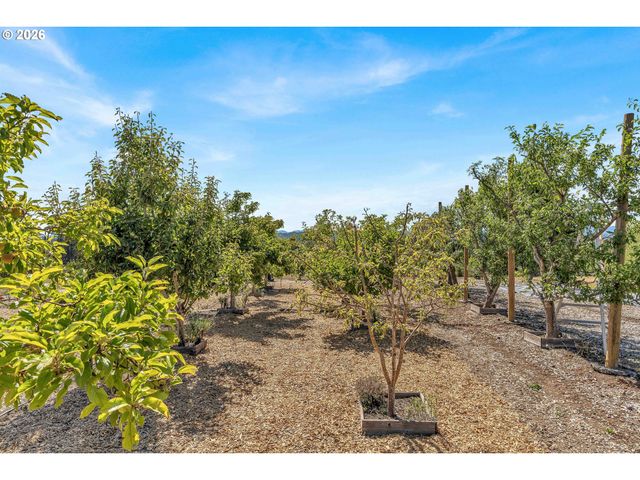 13790 Sw LAMBERT Ln, Gaston, OR 97119