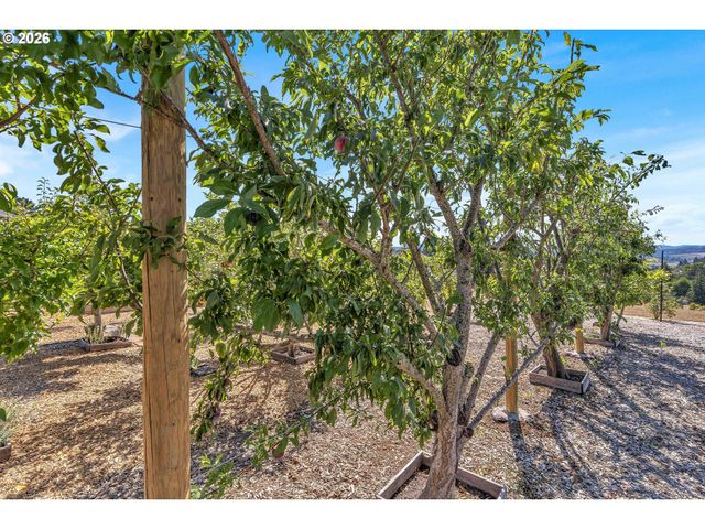 13790 Sw LAMBERT Ln, Gaston, OR 97119