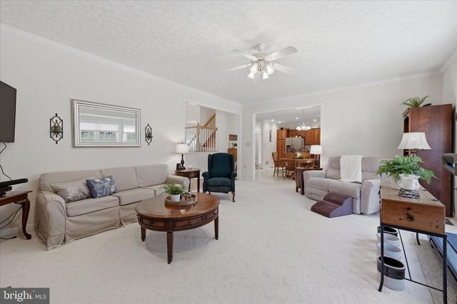 155 BUNCHBERRY RIDGE CT, Stephens City, VA 22655