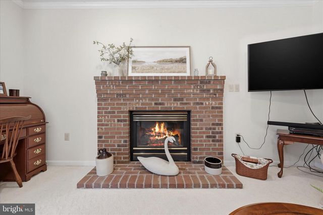 155 BUNCHBERRY RIDGE CT, Stephens City, VA 22655