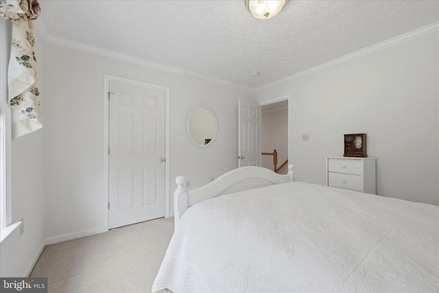 155 BUNCHBERRY RIDGE CT, Stephens City, VA 22655