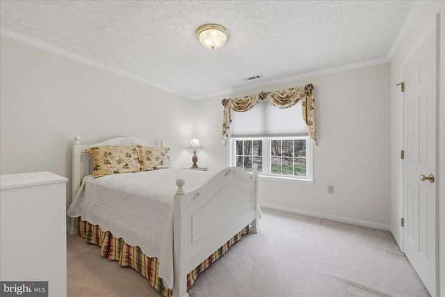 155 BUNCHBERRY RIDGE CT, Stephens City, VA 22655