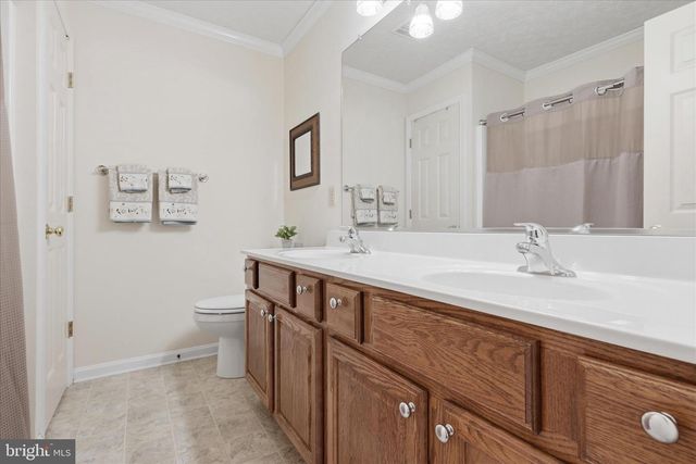 155 BUNCHBERRY RIDGE CT, Stephens City, VA 22655