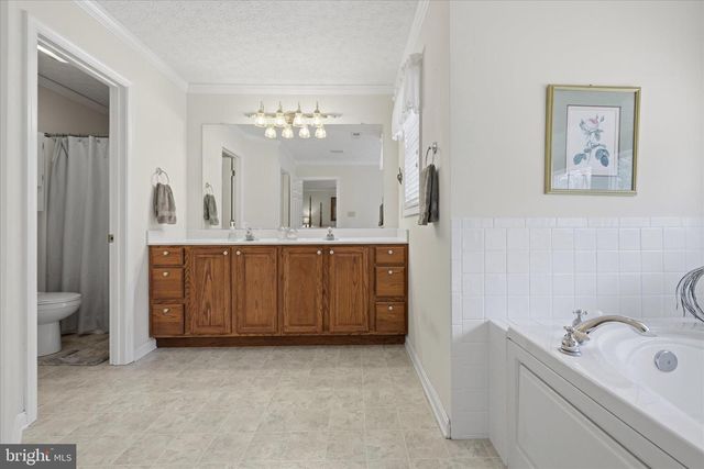 155 BUNCHBERRY RIDGE CT, Stephens City, VA 22655