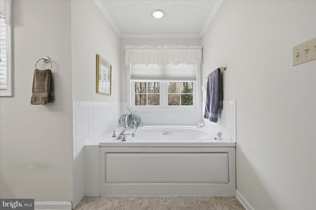 155 BUNCHBERRY RIDGE CT, Stephens City, VA 22655