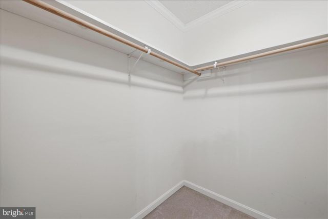 155 BUNCHBERRY RIDGE CT, Stephens City, VA 22655