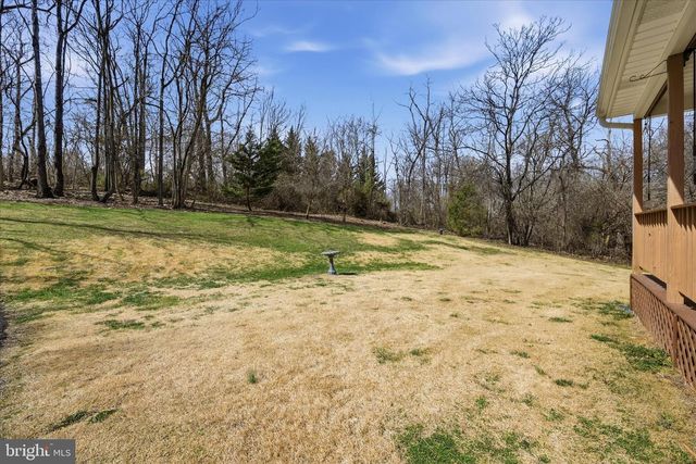 155 BUNCHBERRY RIDGE CT, Stephens City, VA 22655