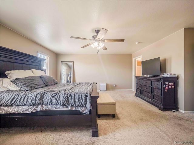 914 Charlton Drive, Windsor, CO 80550