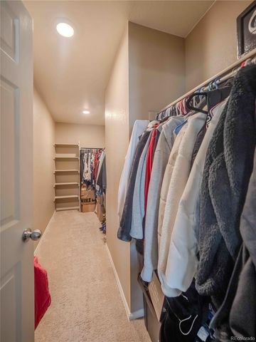 914 Charlton Drive, Windsor, CO 80550