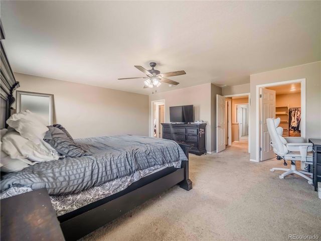 914 Charlton Drive, Windsor, CO 80550