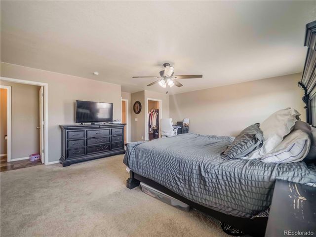 914 Charlton Drive, Windsor, CO 80550