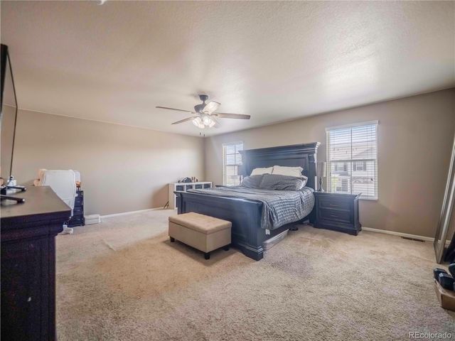 914 Charlton Drive, Windsor, CO 80550