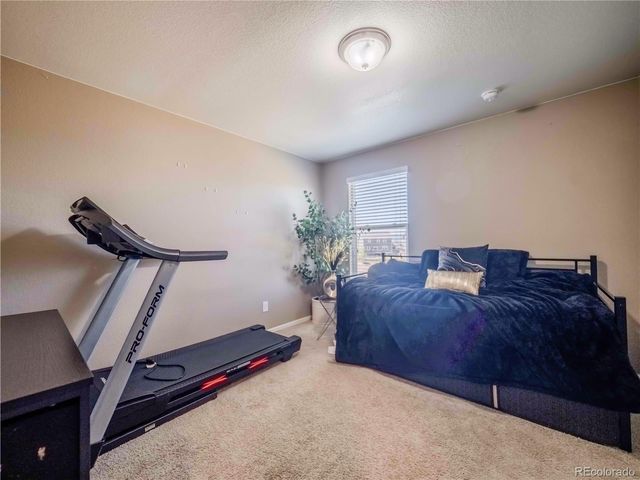 914 Charlton Drive, Windsor, CO 80550