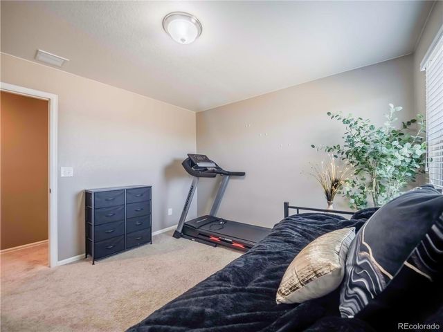 914 Charlton Drive, Windsor, CO 80550