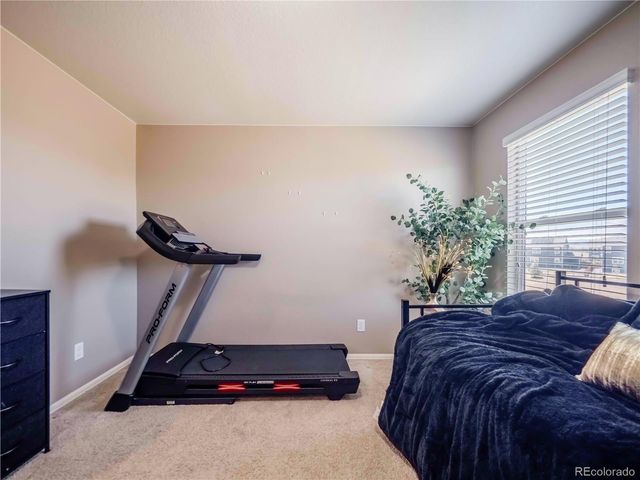 914 Charlton Drive, Windsor, CO 80550
