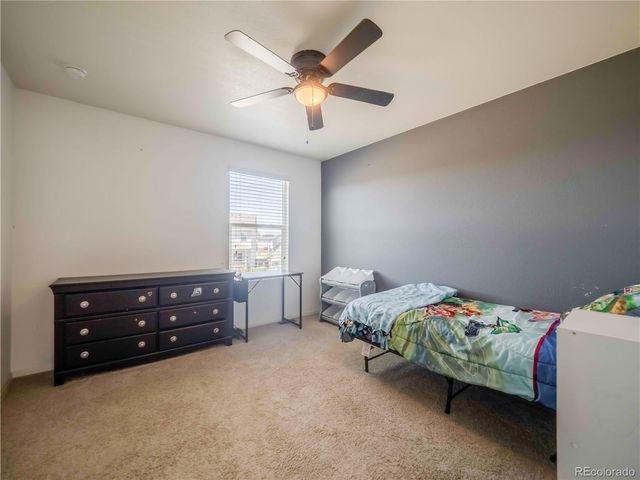 914 Charlton Drive, Windsor, CO 80550
