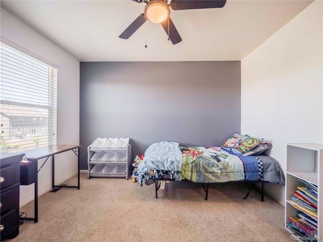 914 Charlton Drive, Windsor, CO 80550