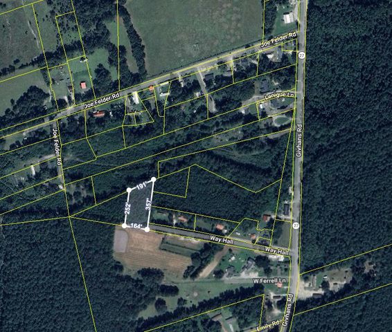 0 Way Hall Lane, Ridgeville, SC 29472
