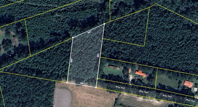 0 Way Hall Lane, Ridgeville, SC 29472