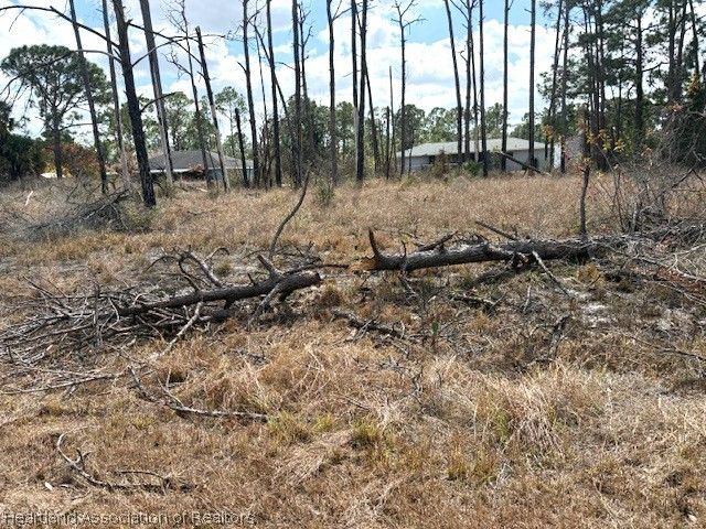 245 Moon River Avenue, Lake Placid, FL 33852