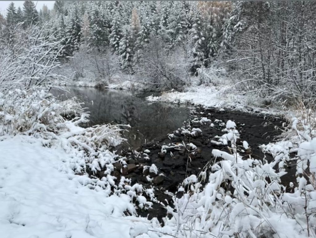 62564 Us Highway 2, Libby, MT 59923 photo 75