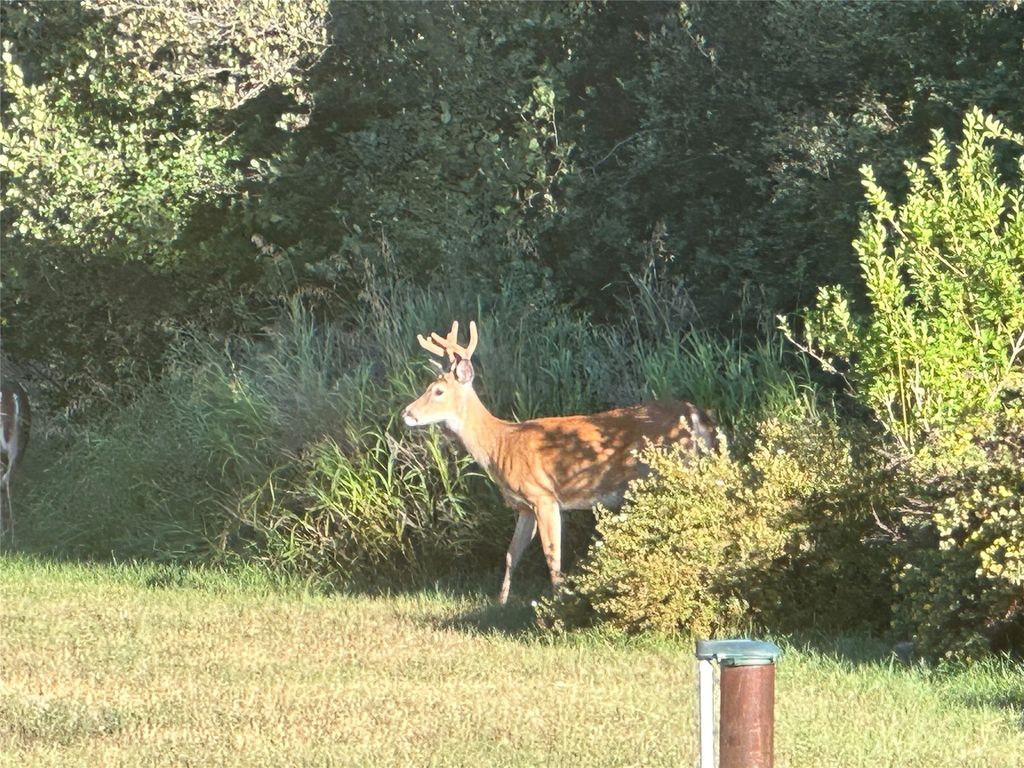 62564 Us Highway 2, Libby, MT 59923 photo 81