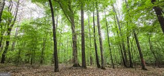 416 Padgett Road, Senoia, GA 30276