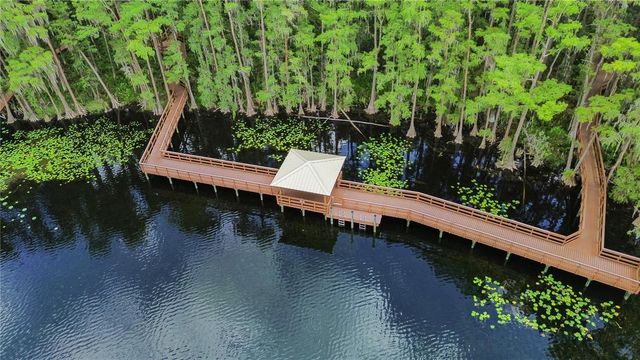 5824 FISH CROW PLACE, Land O Lakes, FL 34638