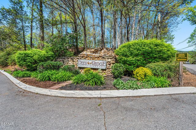 3710 Weber Road, Gatlinburg, TN 37738