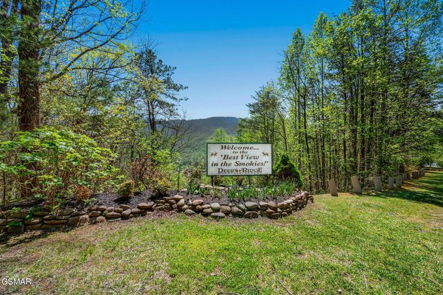 3710 Weber Road, Gatlinburg, TN 37738