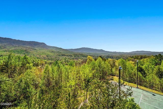 3710 Weber Road, Gatlinburg, TN 37738