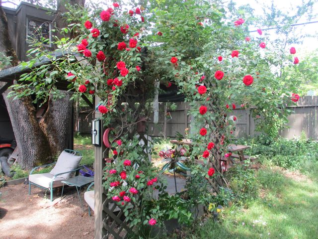 10585 Blackwell Road, Central Point, OR 97502